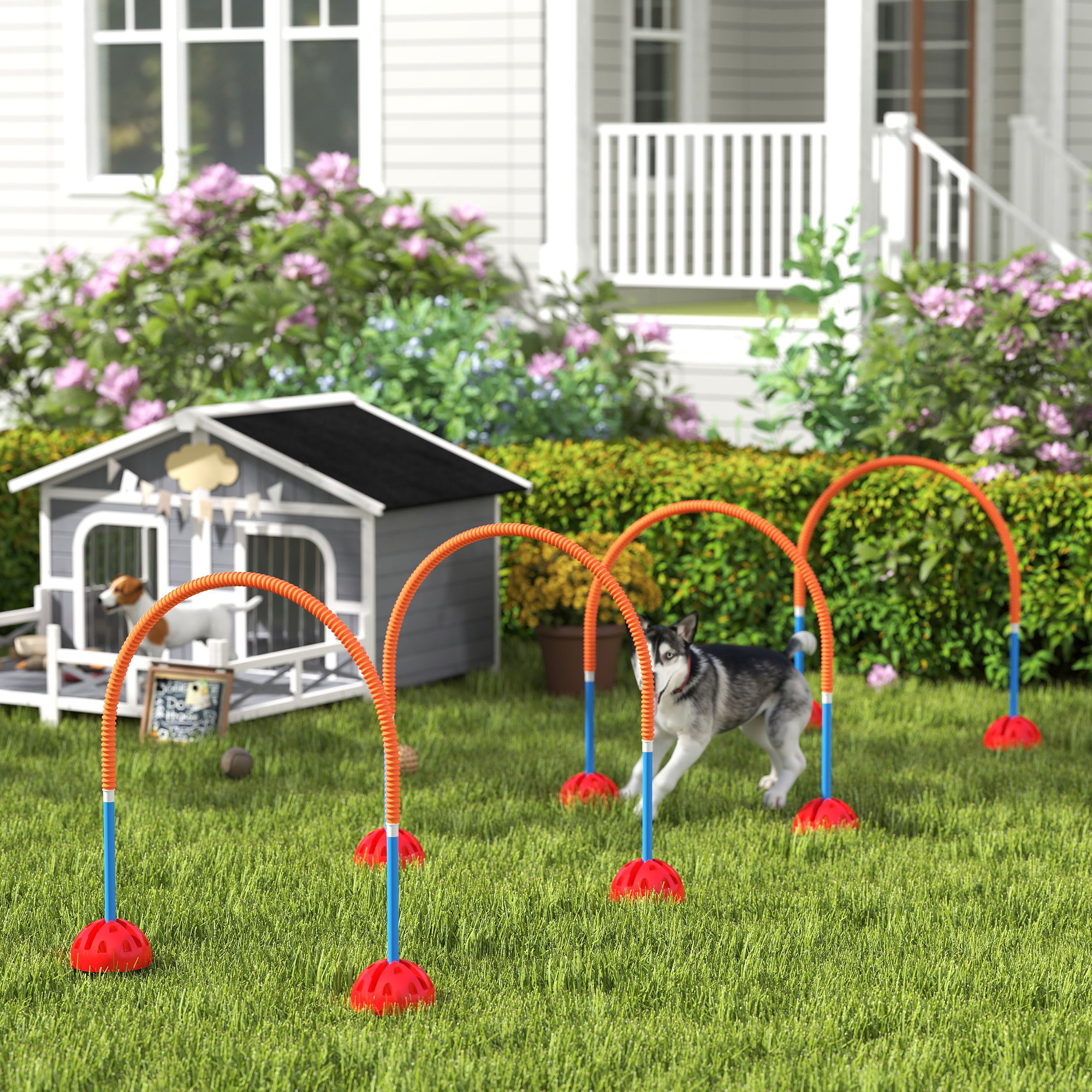 Image of Agility Set For Dogs, 4-piece Agility Equipment For Dog Training With 4 Adjustable Width Doors, Carrying Bag, Agility Set For Games And Training, Blue+orange