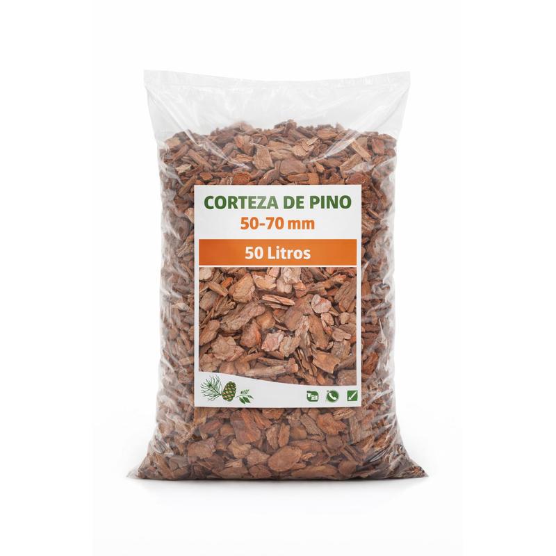 TEMU de Pino Decorativa| 40- para Jardín y Macetas