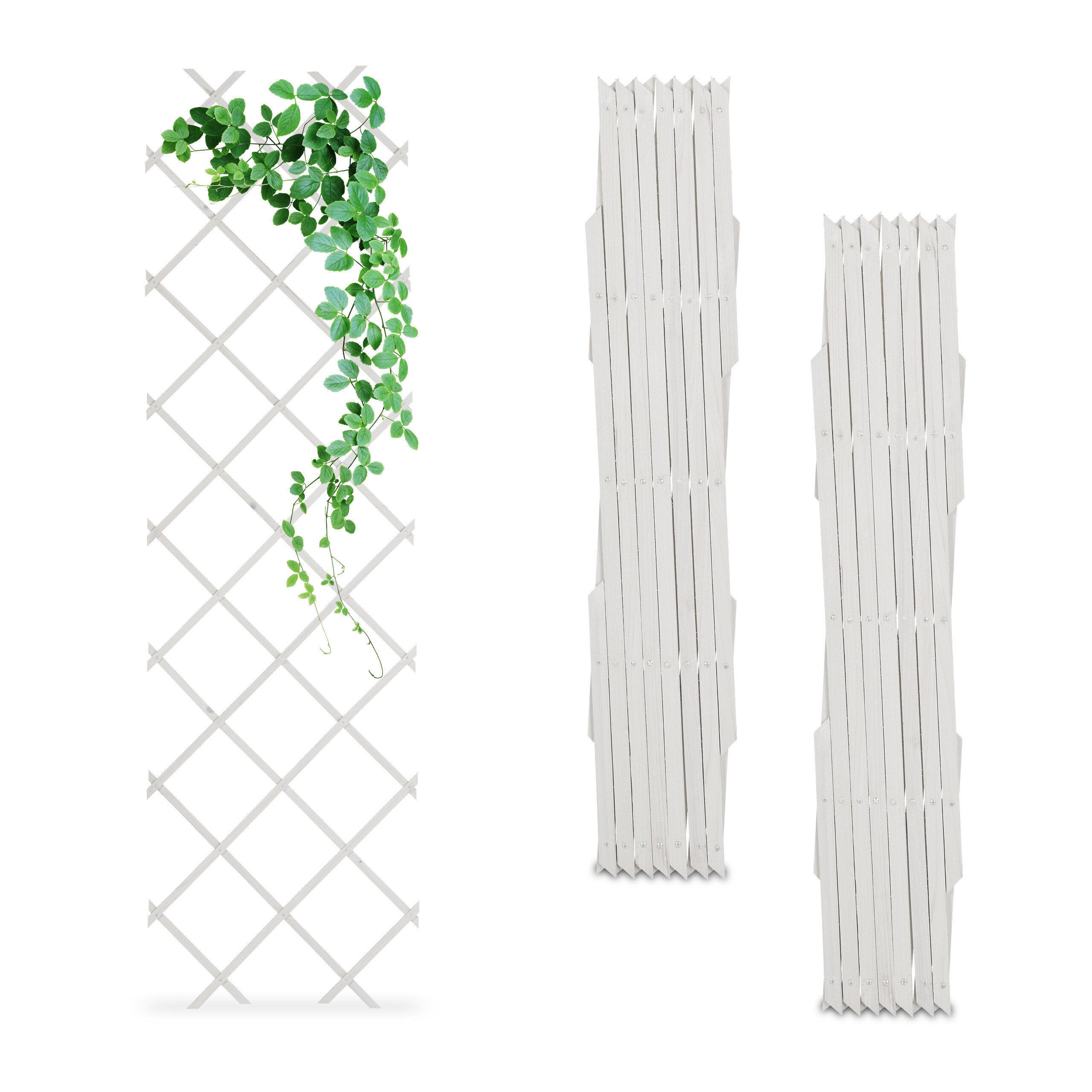 E-shop 3 x Rankgitter in Weiß - (B)60 x (H)180 cm