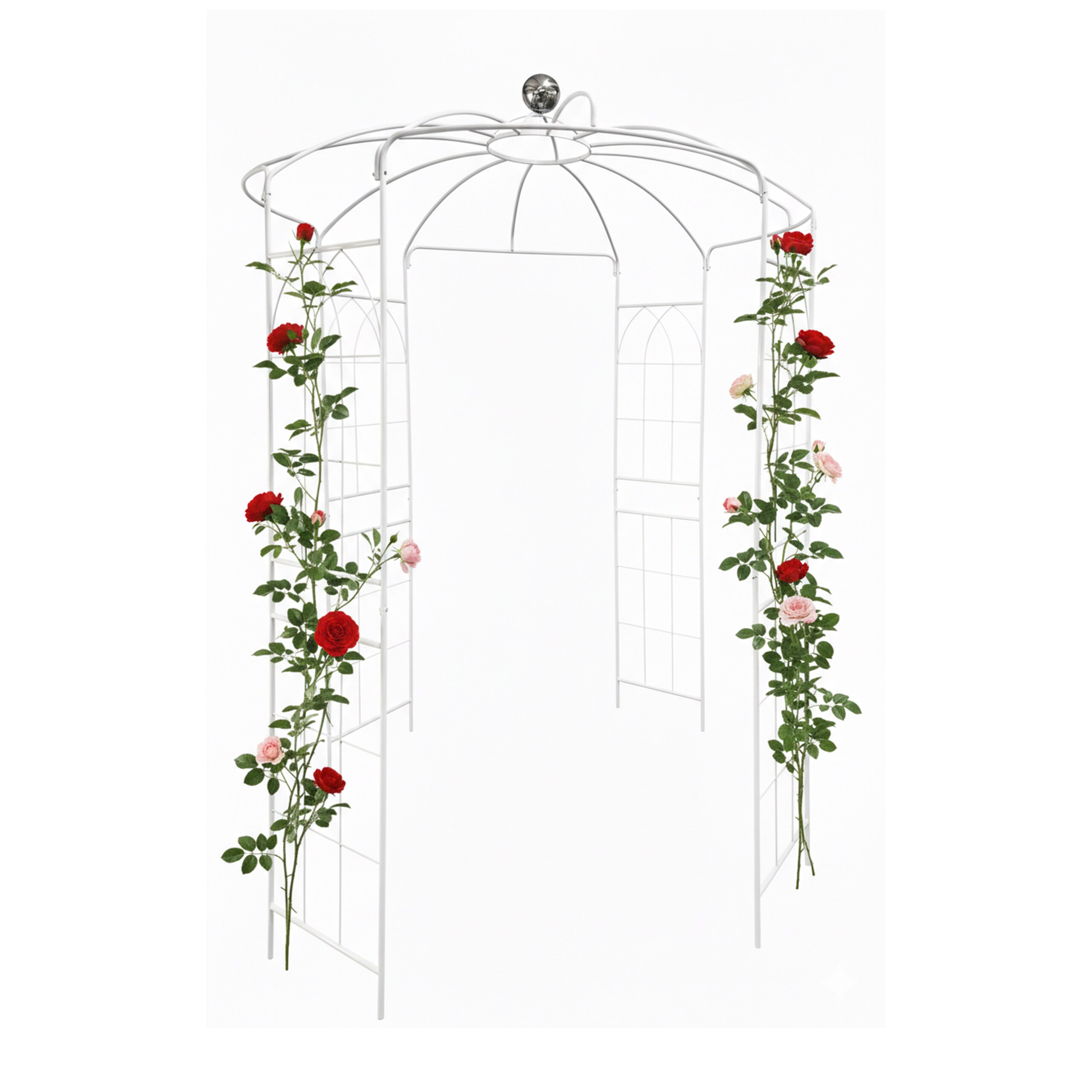 White Rose - (w)206 X (h)290 X (d)206 Cm