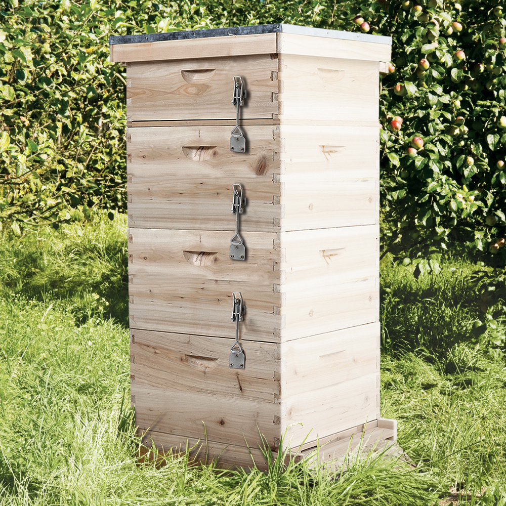 TEMU 2-4 Tier Beehive Box, Complete Bee Hive Starter Box, For Beekeeping Honey Bee Hive Frames Beekeeper, Only , Not , 3 Sizes