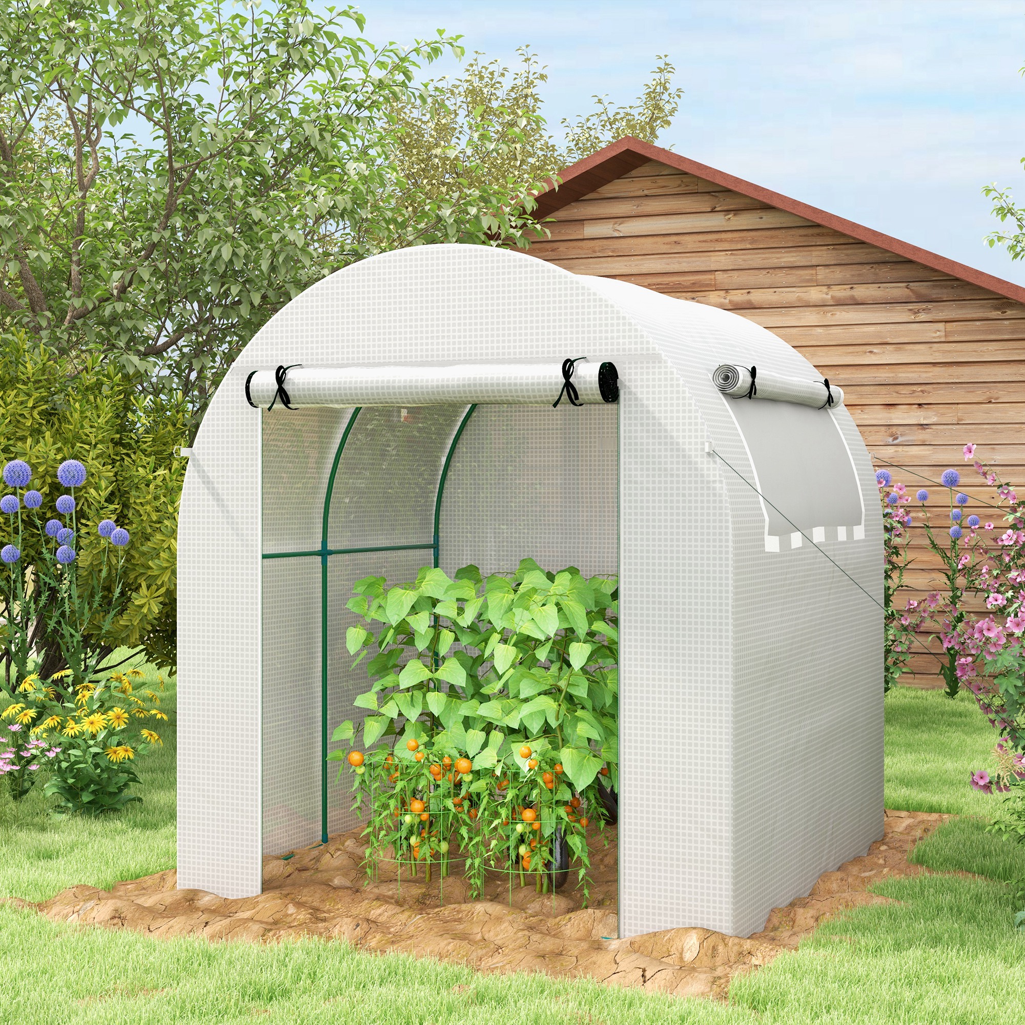 TEMU Outsunny Invernadero de Jardin 180x180x200 cm Invernadero de Tunel Pequeño con Puerta Enrollable y Ventana de Malla para Plantas Flores