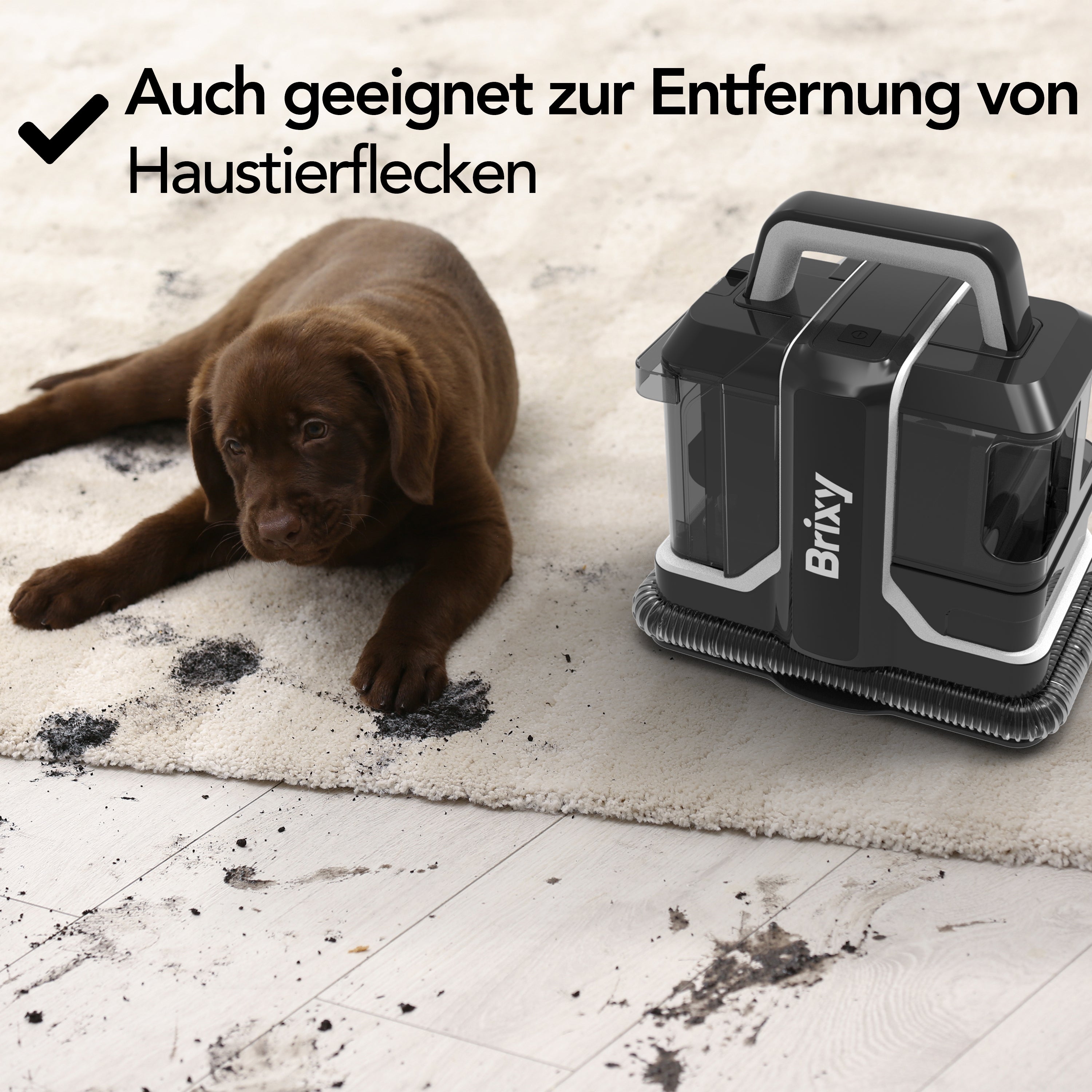 Professionele Tapijtreiniger - Vlekkenreiniger - 2 Borstels