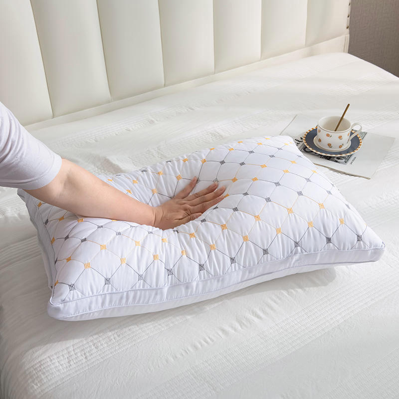 2-Pack Hotel Quality White Double-Border Pillow Insert (74x48cm) | 1000g Premium Polyester Fill for Luxurious Bed Decor, Starry Embroidered Pattern, Zips Closure, Comfortable & Breathable Home Sleep Pillows for Side/Back/Stomach Sleeper, 74*48cm