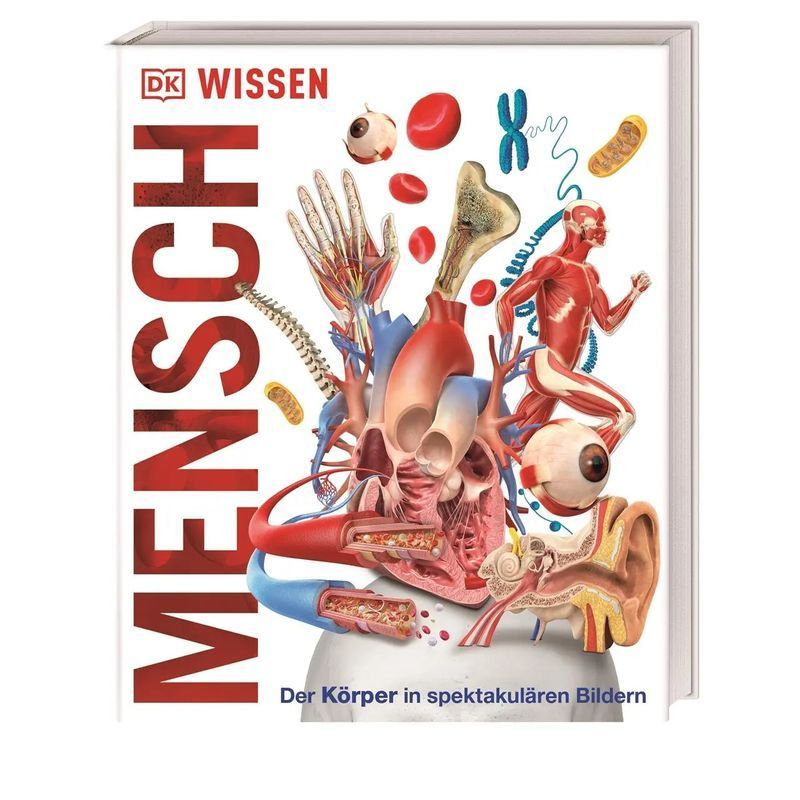 Knowledge Human - Book - The Body In Spectacular Images - Dk Verlag Kids - Dk Knowledge - 208 Pages - German - 2018 - Dorling Kindersley Verlag - Ean 9783831034604