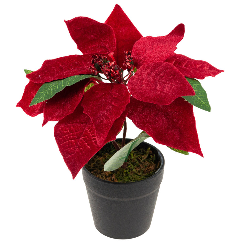 Bethlehem Artificial Velvet Poinsettia In A Pot Realistic