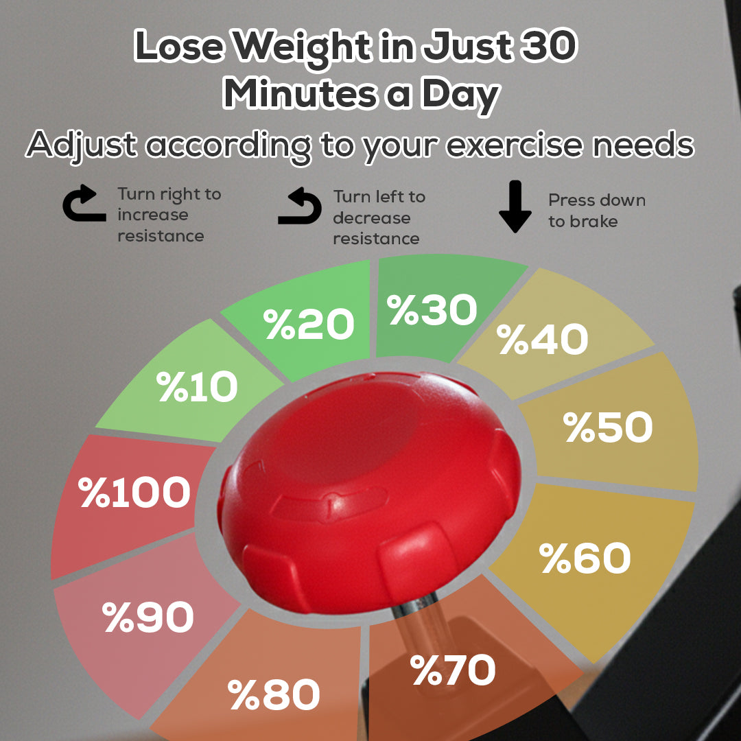 Adjustable, Portable, LCD Monitor Upright Exercise Bike