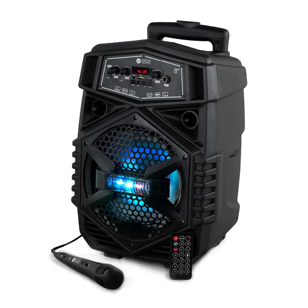 TEMU 8" Portable Karaoke Speaker