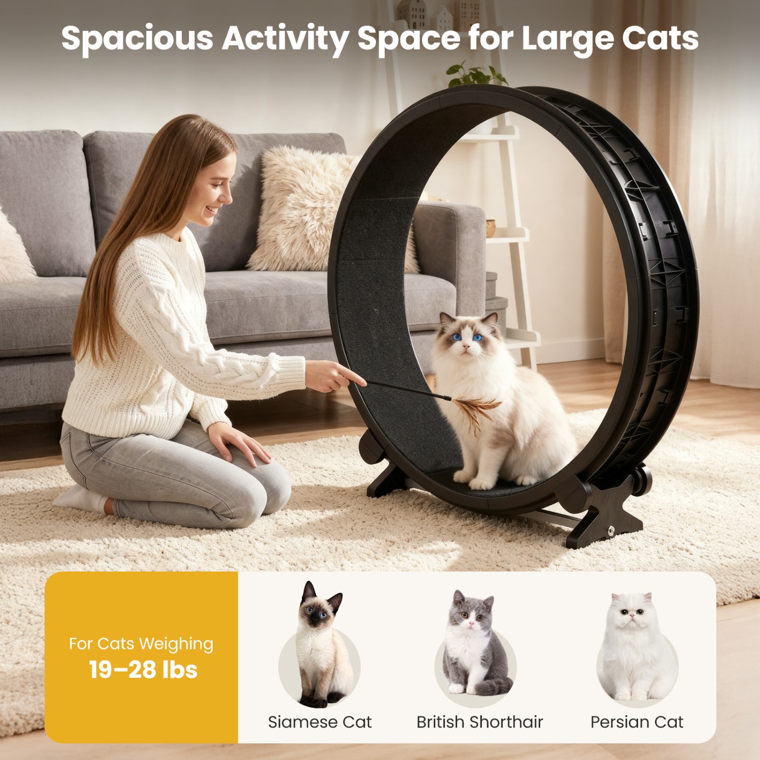 Large Cat Exercise Wheel, Indoor Pet Running Wheel