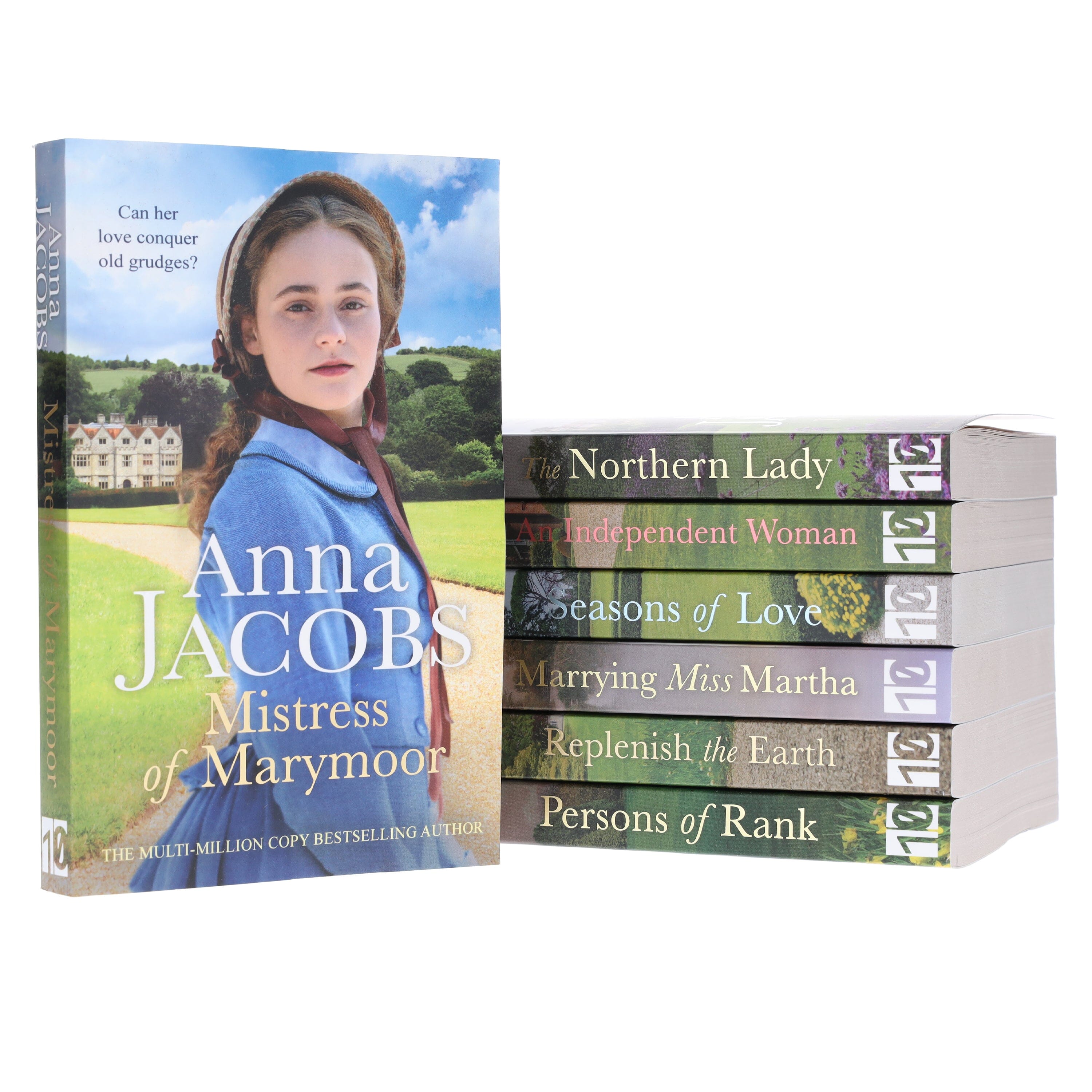 TEMU Anna Novels: 7 Books Collection Set - Fiction - Paperback