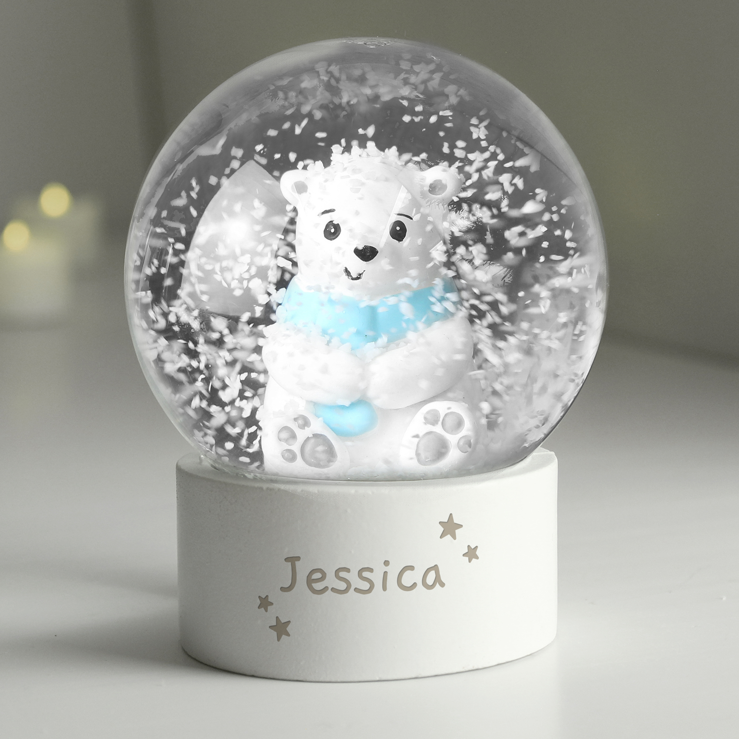 TEMU Personalised Polar Bear