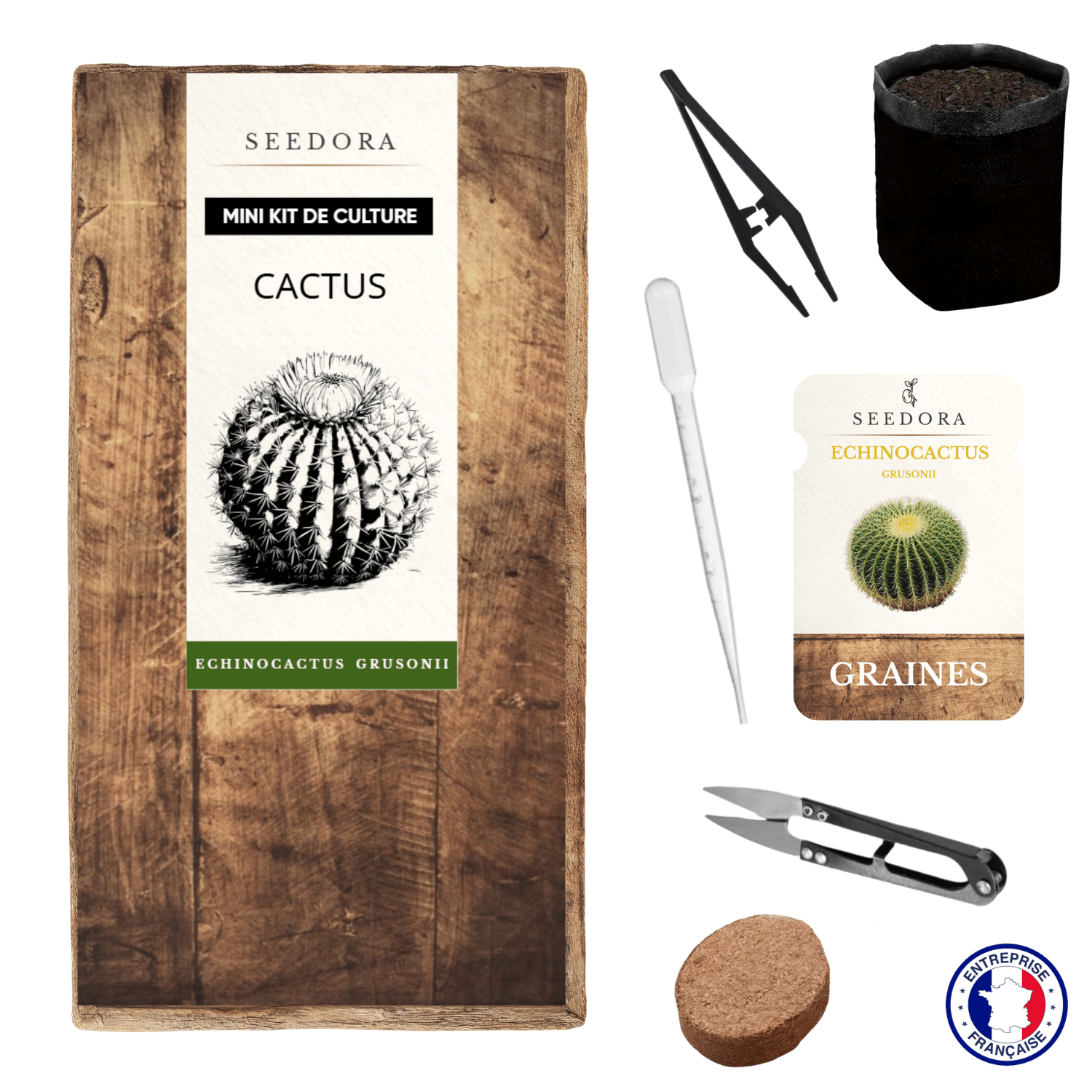 TEMU Mini Kit Cactus Echinocactus Grusonii (Coussin de Belle-Mère) — Kit Complet |