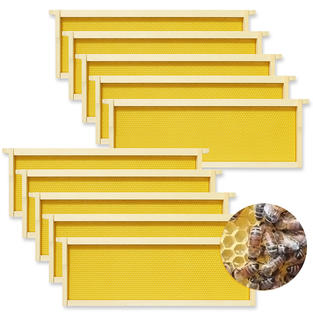 TEMU Set Of 10 Beehive Frames, Hive Frames, Suitable For Beehive Box, Only Nest Frame With Nest , No Beehive Box