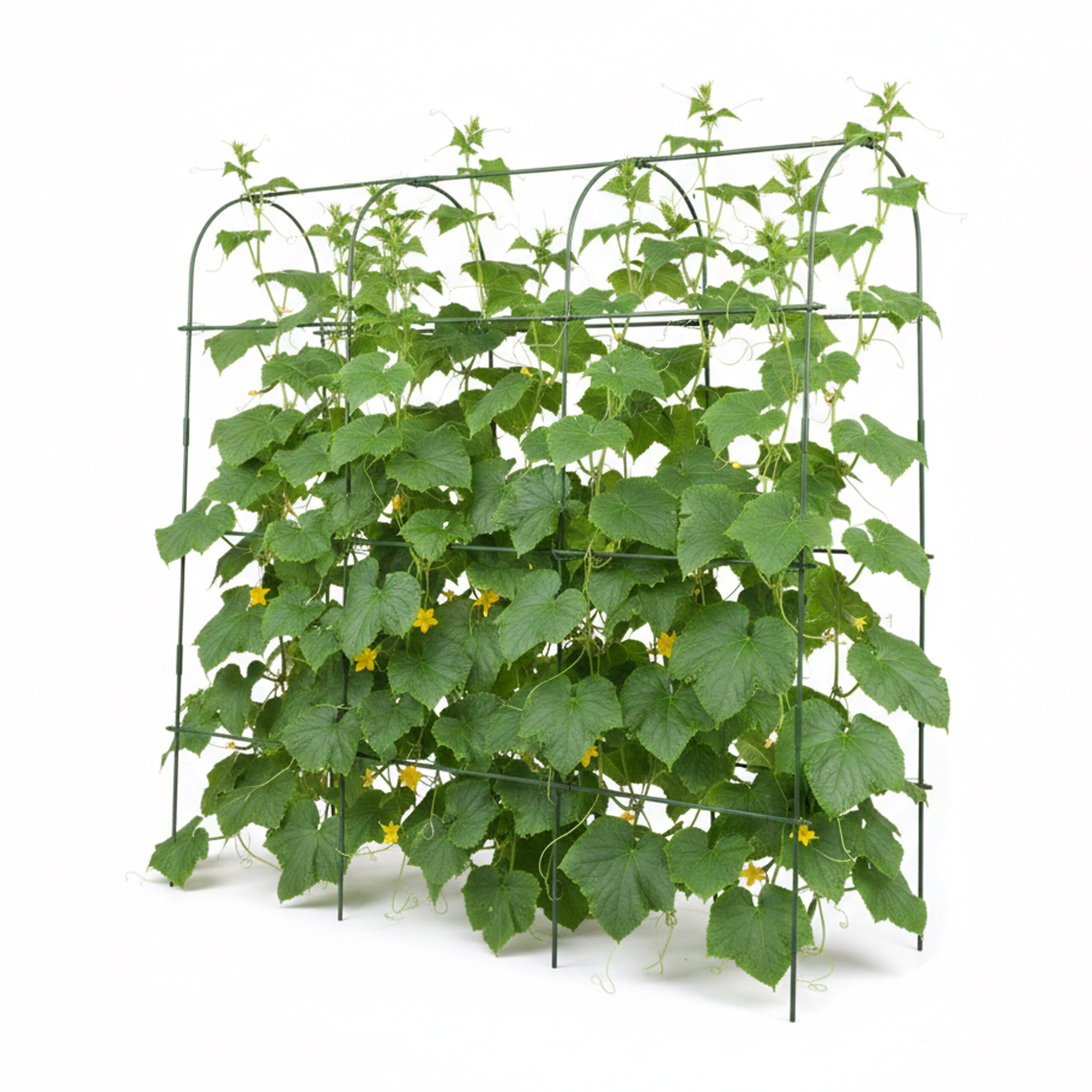 E-shop Rankgitter in Grün - (B)183 x (H)182 x (T)43 cm