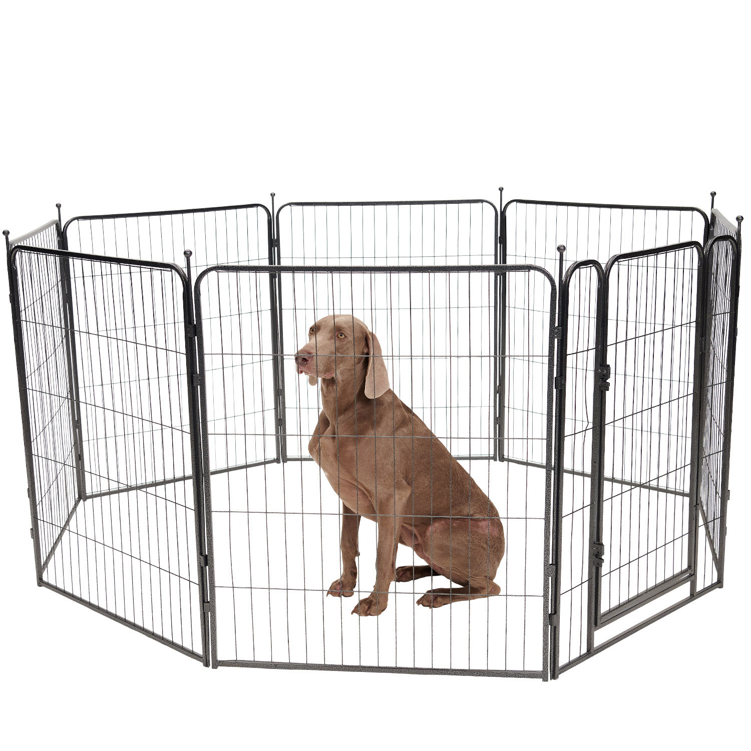 TEMU Dog Playpen - Puppy Pen - 8 Panels - 80 X 100 Cm - Foldable - With Door - Steel - Black