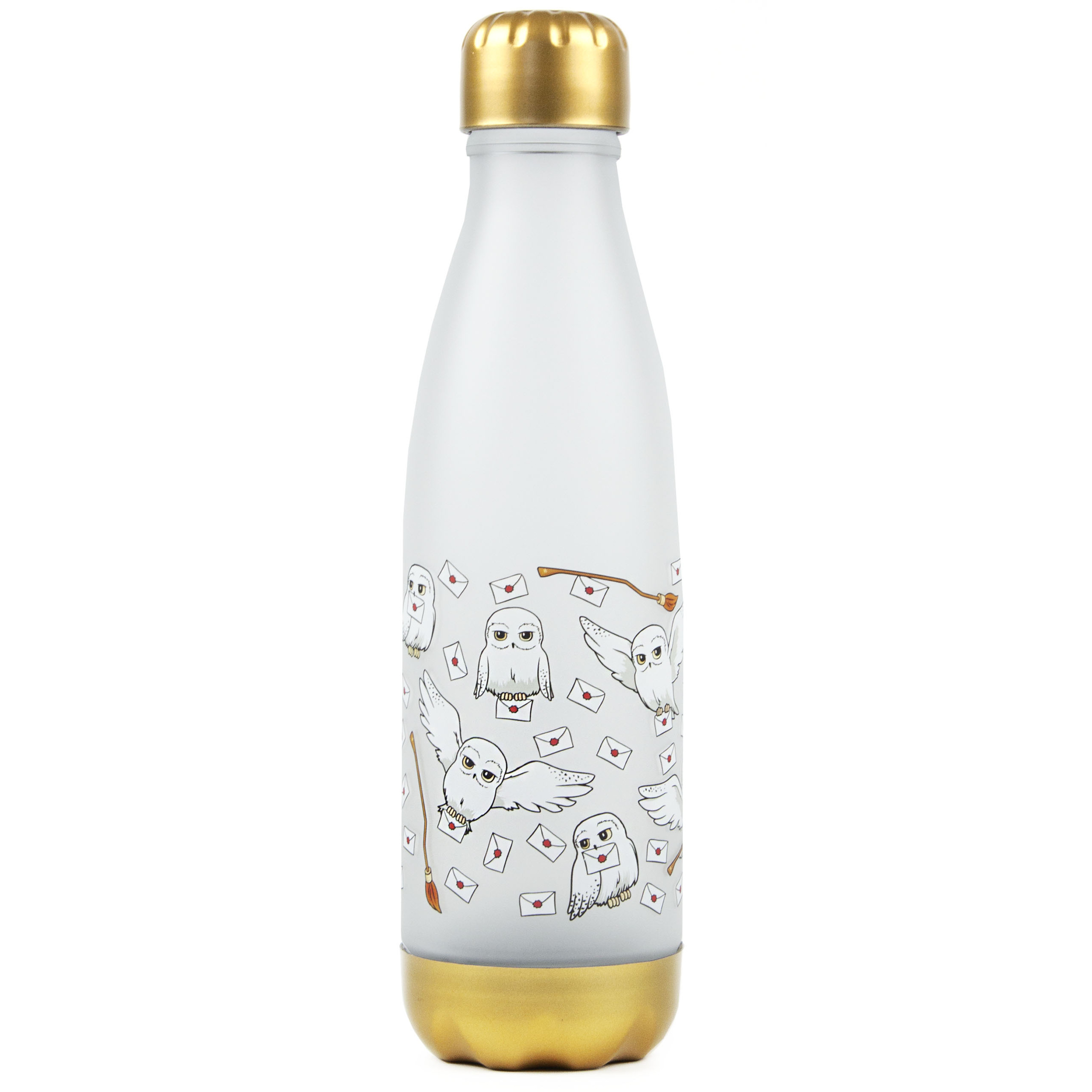 TEMU Harry Potter Hedwig Letter Owl 600ml School Plastic Drinks Bottle