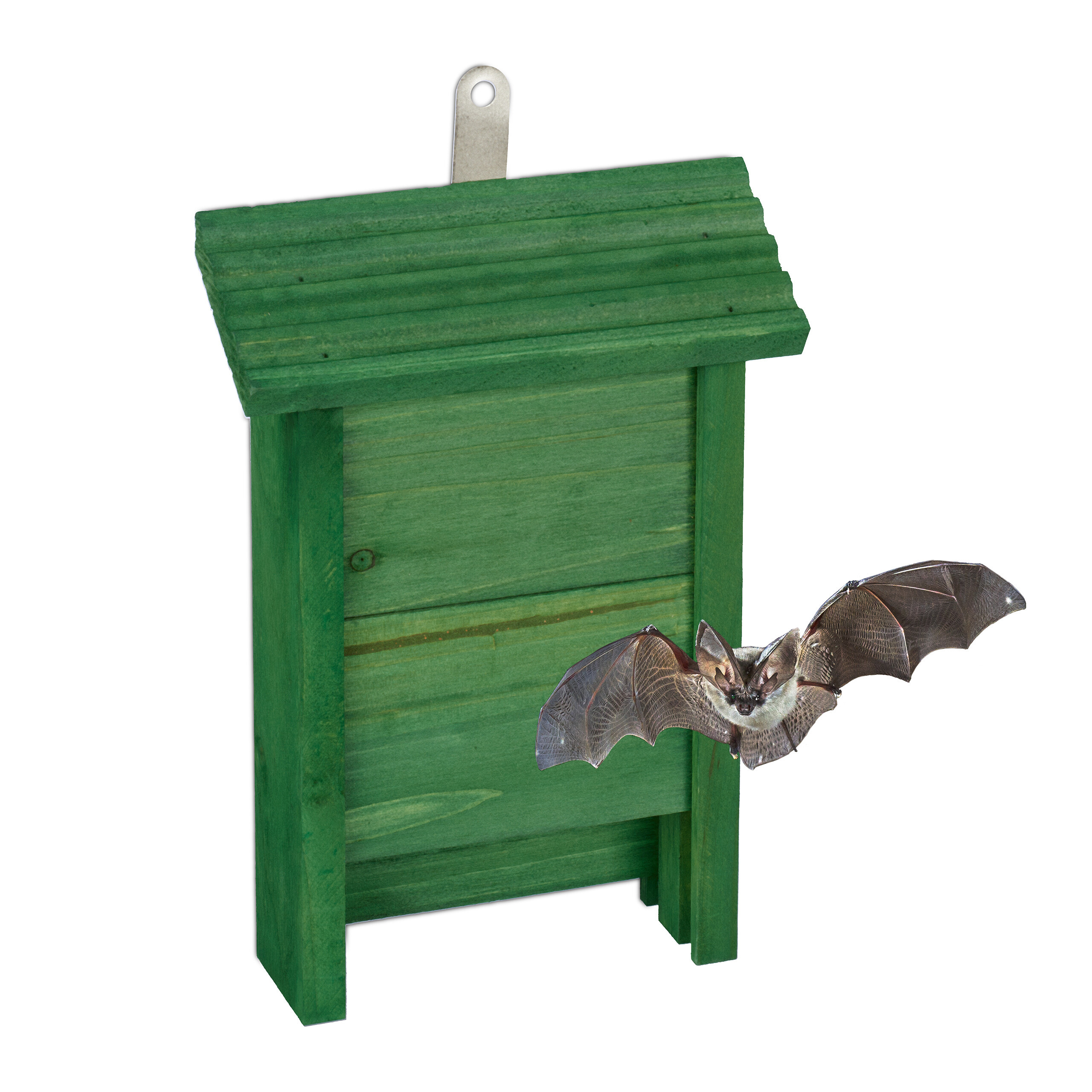 E-shop Fledermauskasten in Grün - (B)18 x (H)29 x (T)6 cm