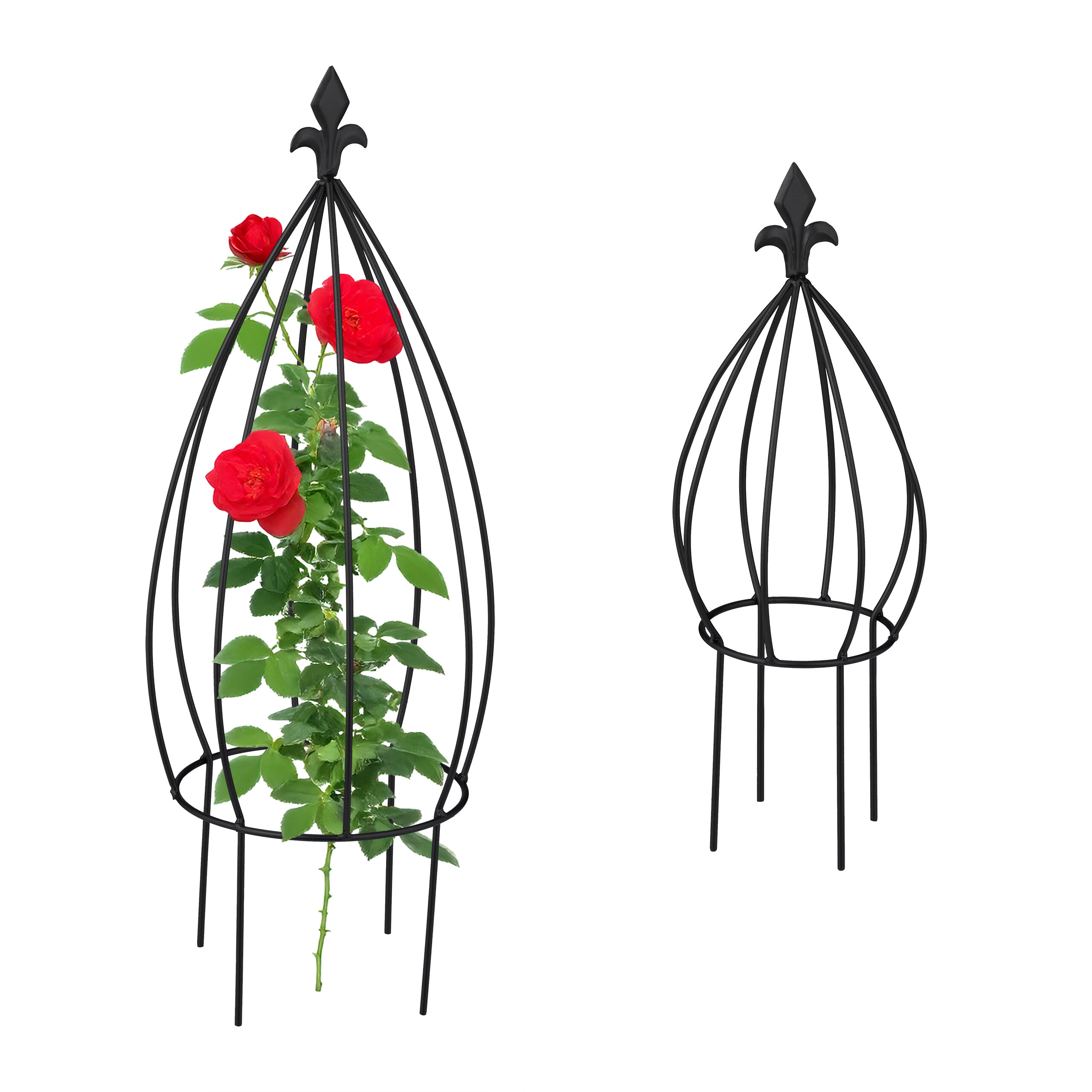 2-piece Plant Support Set In Black