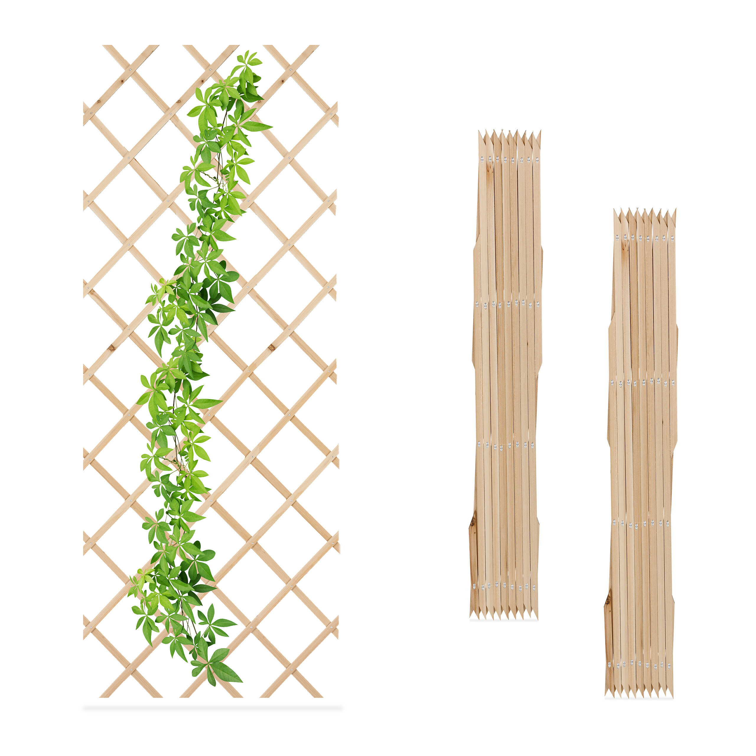 Rankgitters - (w)90 X (h)180 Cm
