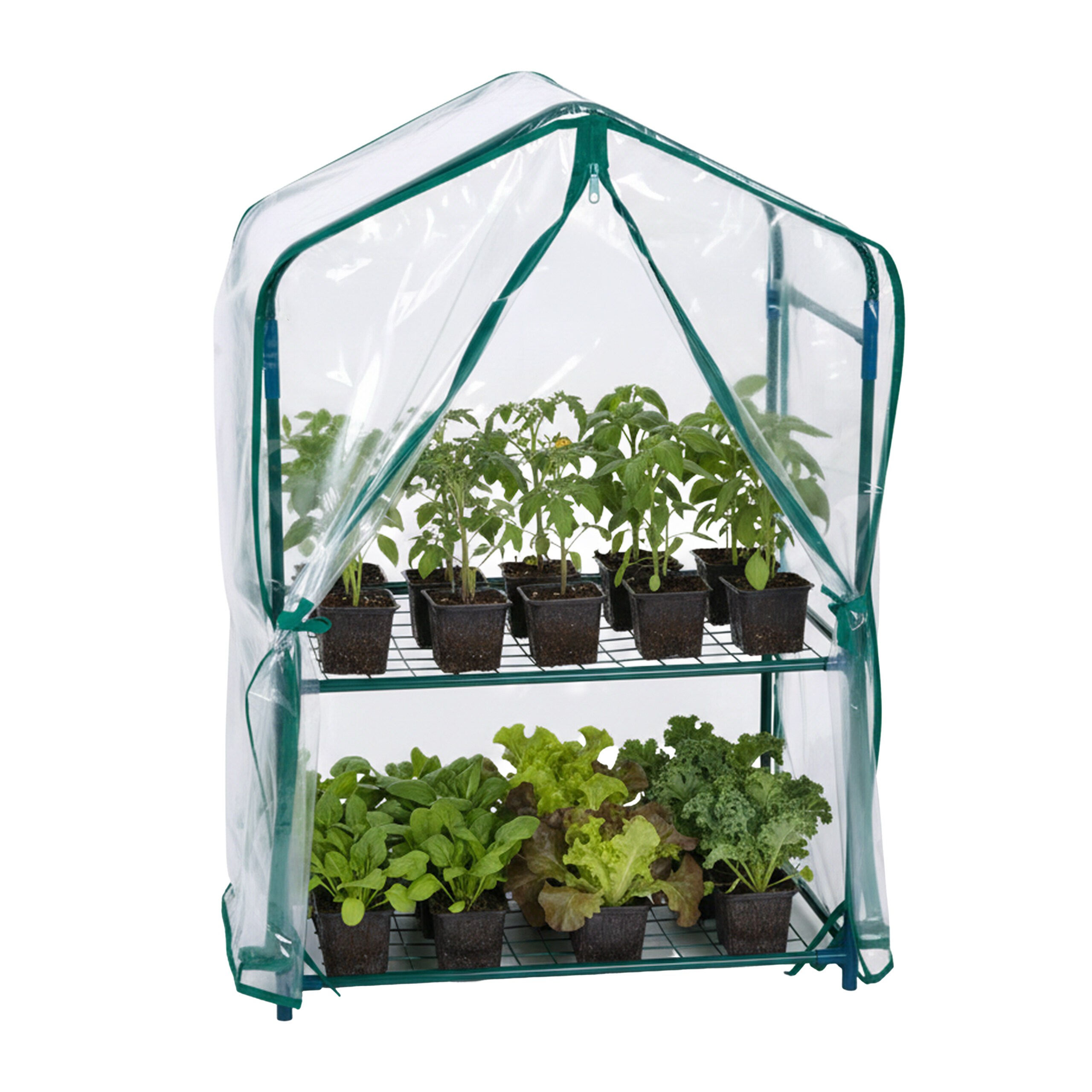 E-shop Balkongewächshaus in Grün/ Transparent - (B)59 x (H)95 x (T)39 cm