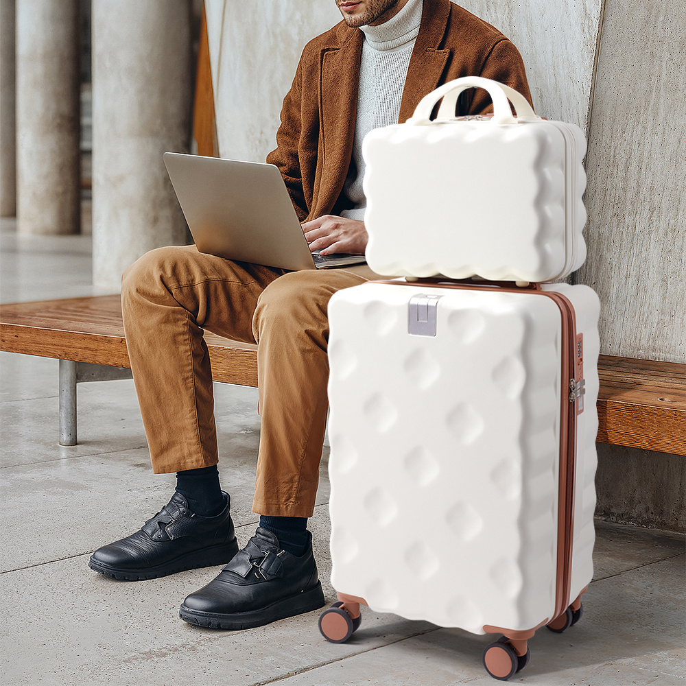 Hard Shell 2-Piece Luggage Set with TSA Lock