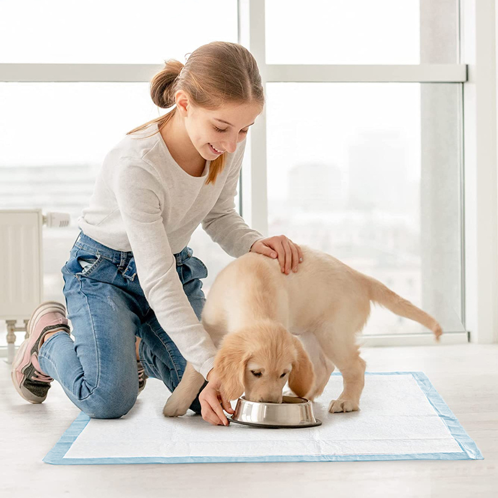 TEMU Puppy Pads 40 Pack Disposable Puppy Training Pads Leak-proof Pads For Puppies And Dogs Quick Dry Floor Protection Dog Pads Pack Of 40 L-size