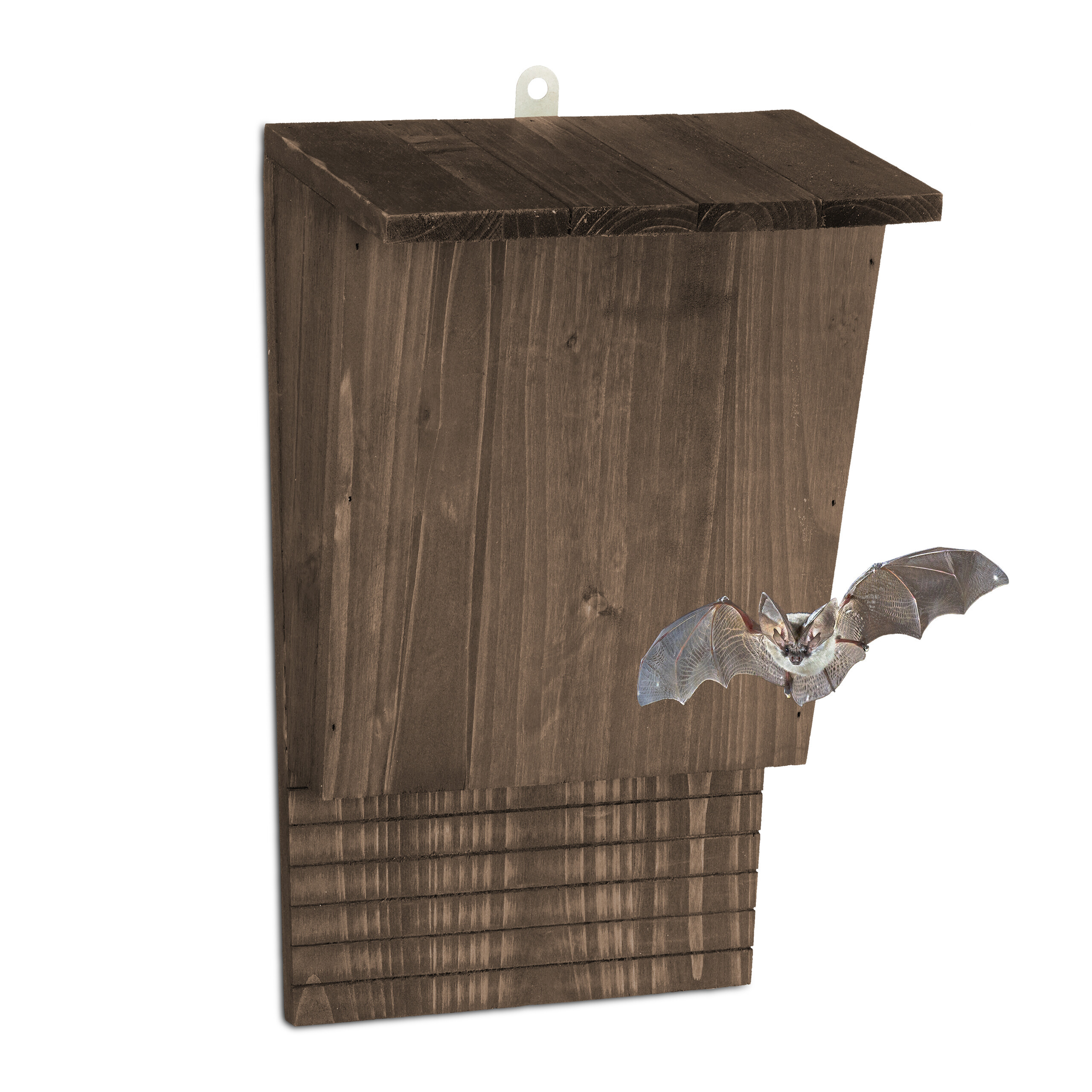 E-shop Fledermauskasten in Braun - (B)22 x (H)37 x (T)12.5 cm
