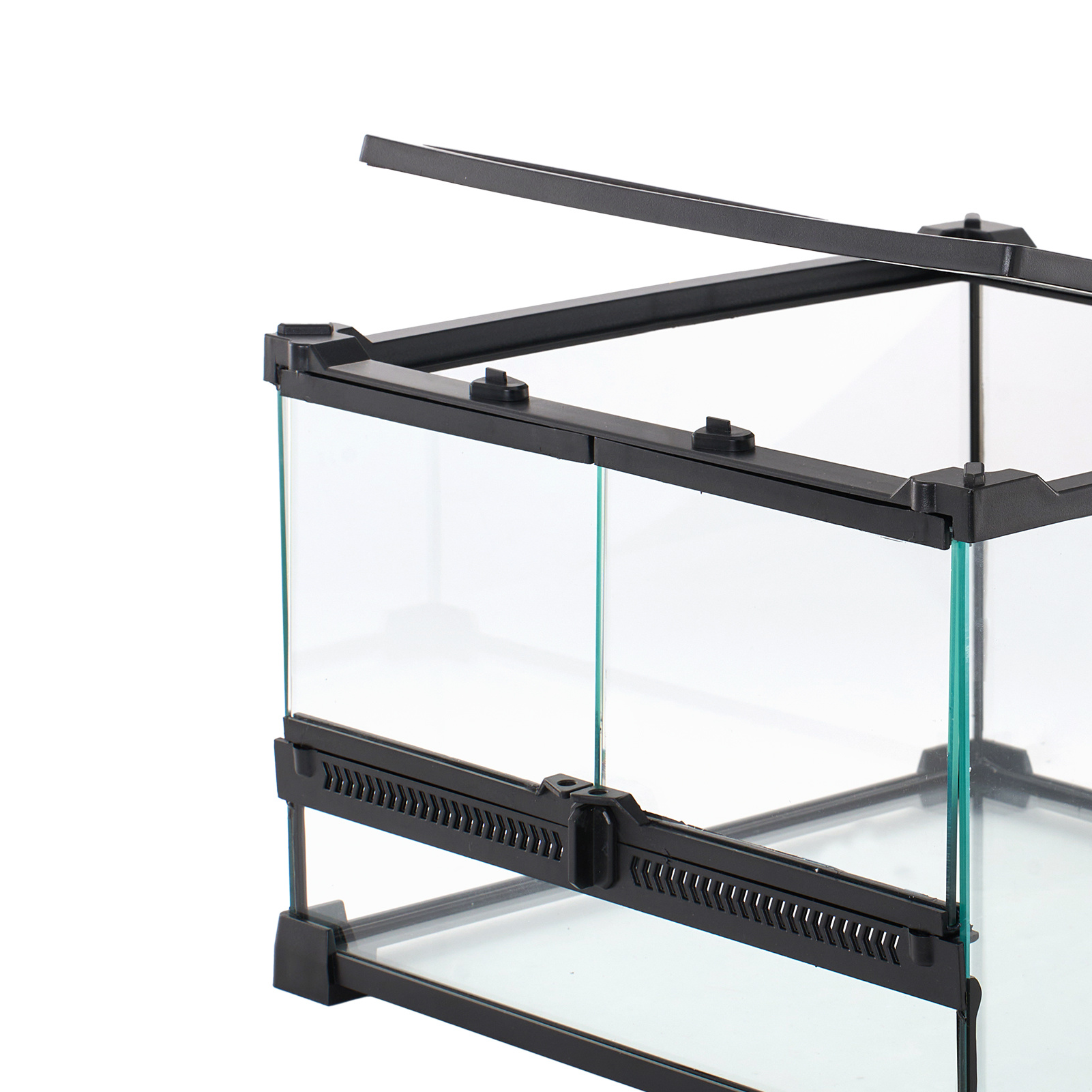 Desktop Rainforest Vivarium for Reptiles and Indoor Decor