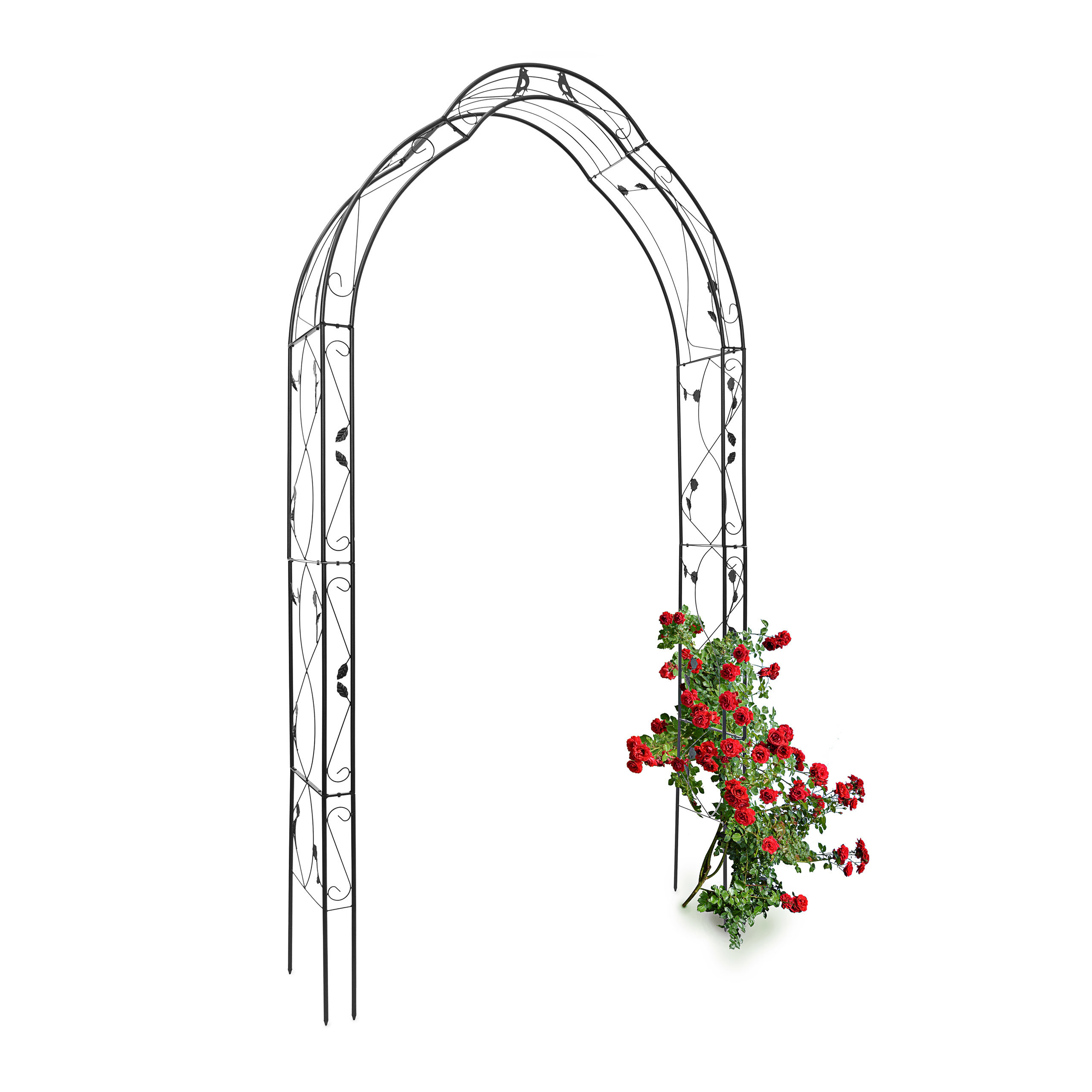 E-shop Rosenbogen in Schwarz - (B)137 x (H)255 x (T)39 cm
