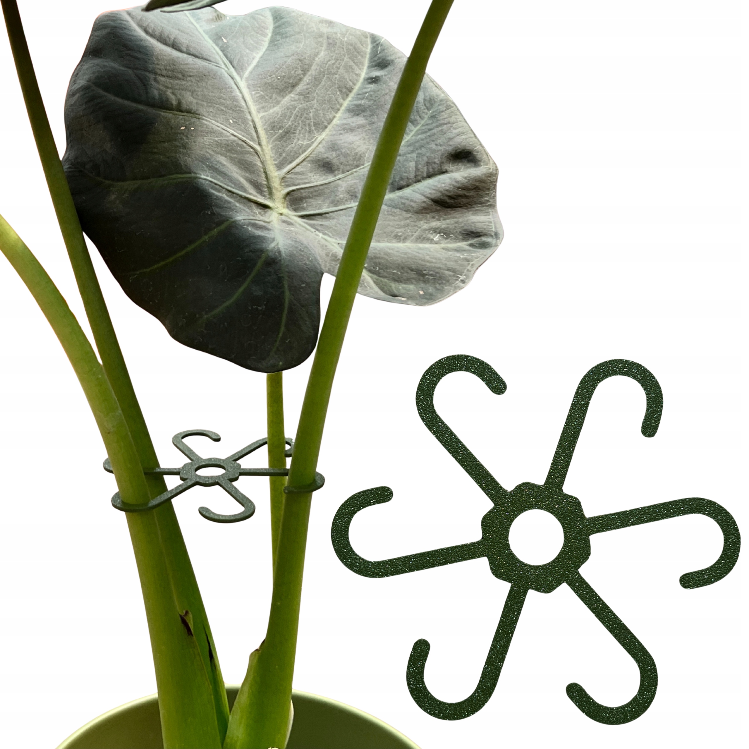 Flower Plant Support Stake, Holder, 10 Cm, Plant Support, Flower Support, Stake, Supports, Strong, Grip Holder
