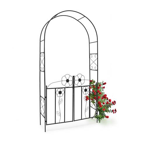 arch for climbing roses with gate