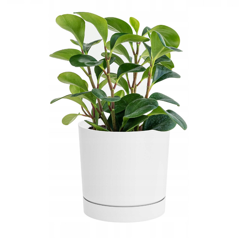 White Tube Drainage Pot With Stand