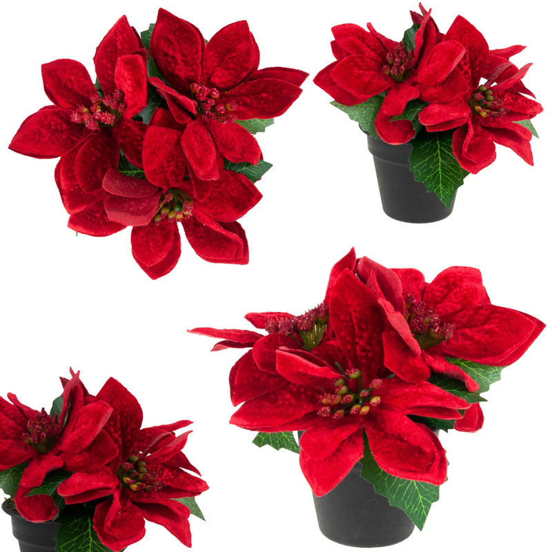 Bethlehem In A Pot Artificial Velvet Realistic Poinsettia