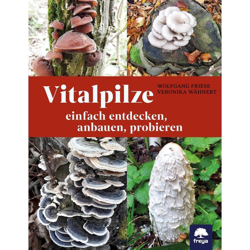 Image of Vital Mushrooms - Paperback - Easily Discover, Grow, And Taste - Wolfgang Friese (et Al.) - 176 Pages - German - 2025 - Freya Verlag - Ean 9783990255223