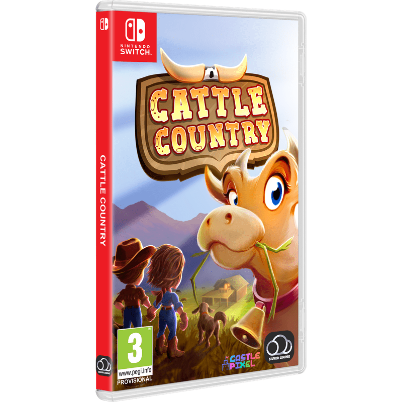 Physical Game For Switch Console
