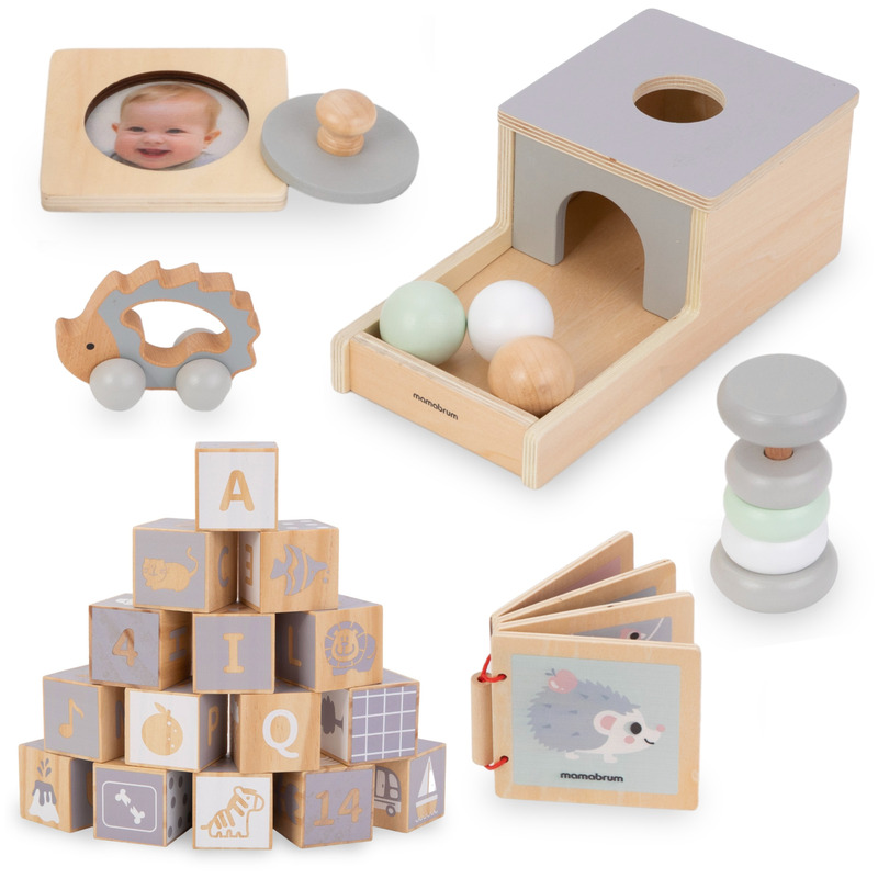 TEMU Educational Box For Infants - 6 Toys