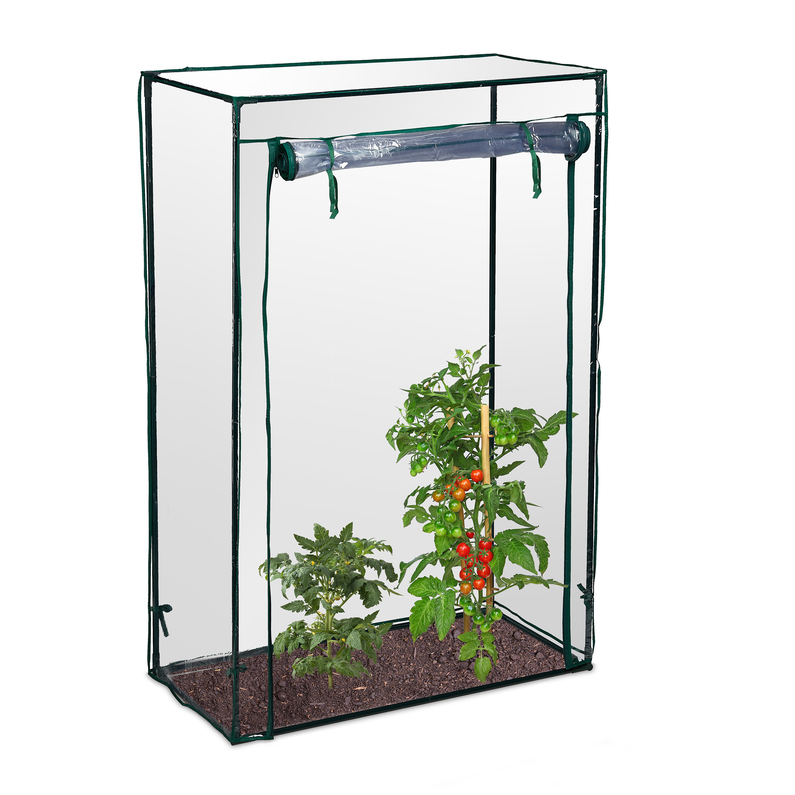 E-shop Tomatengewächshaus in Transparent - (B)100 x (H)150 x (T)50 cm