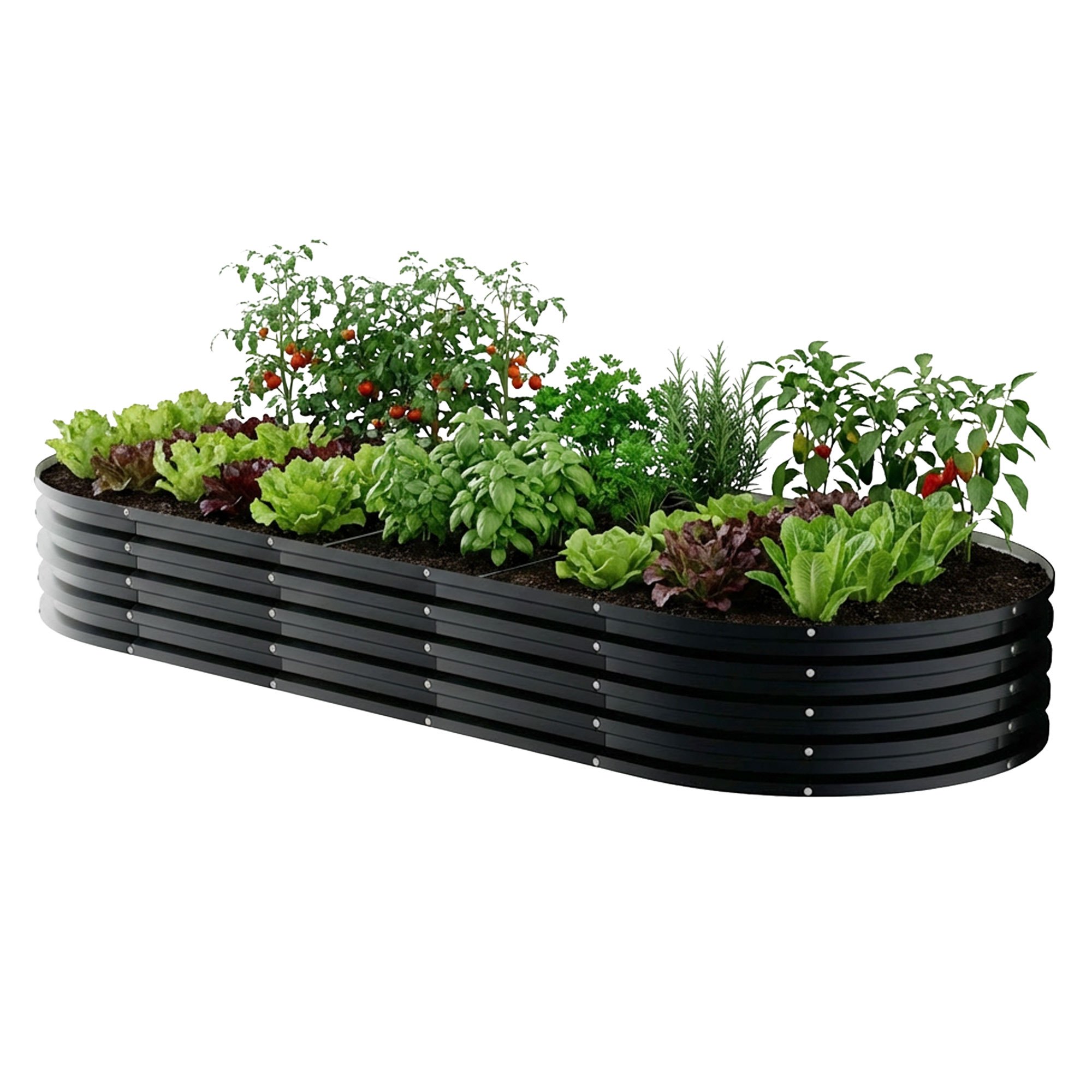 Raised Oval Bed For Outdoor Garden 180x90x30 Cm In Black Stainless Steel