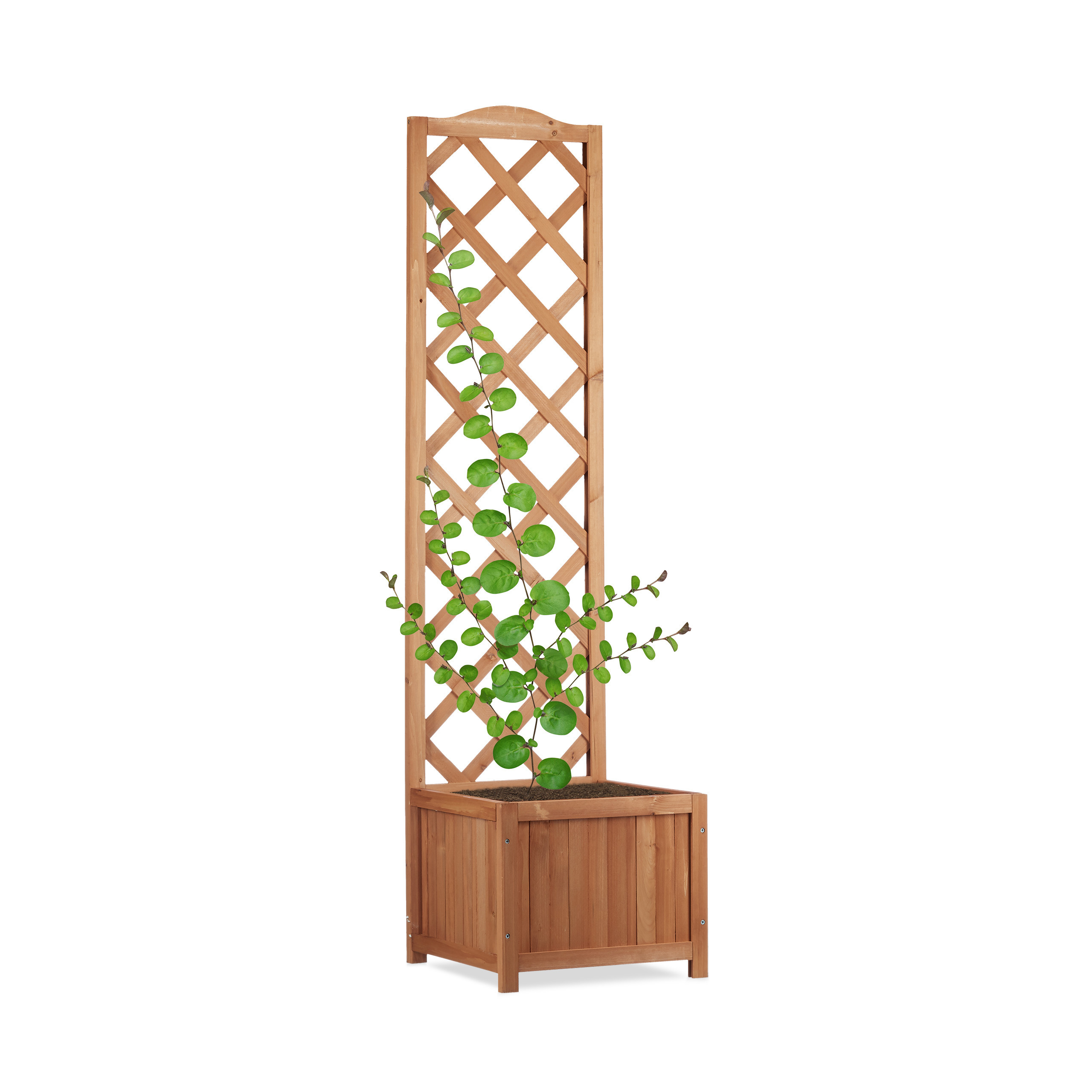 Natural Rattan Storage Box - 25 L