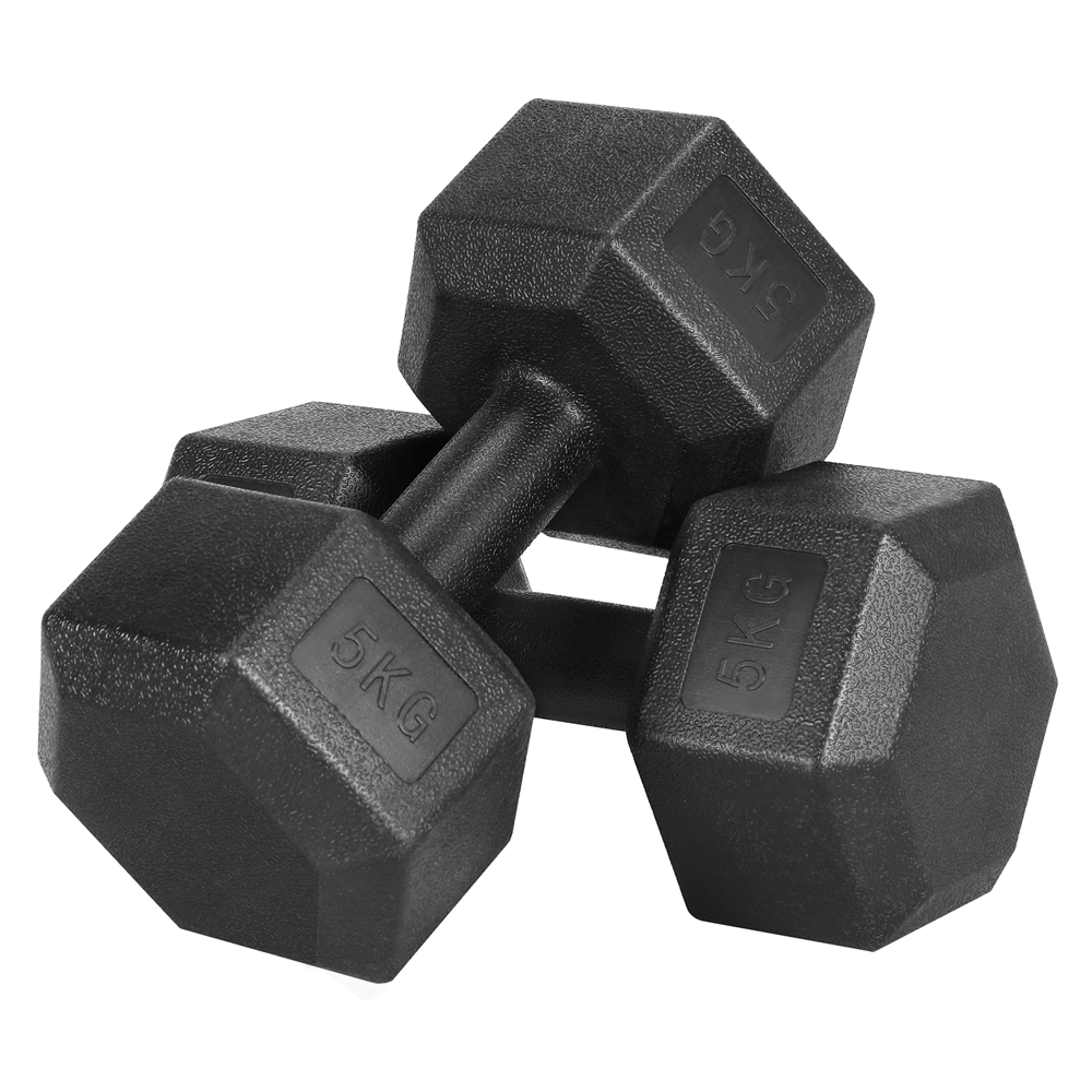 Costoffs Hexagon Dumbbell Set, Space-Saving Design for Home Gym