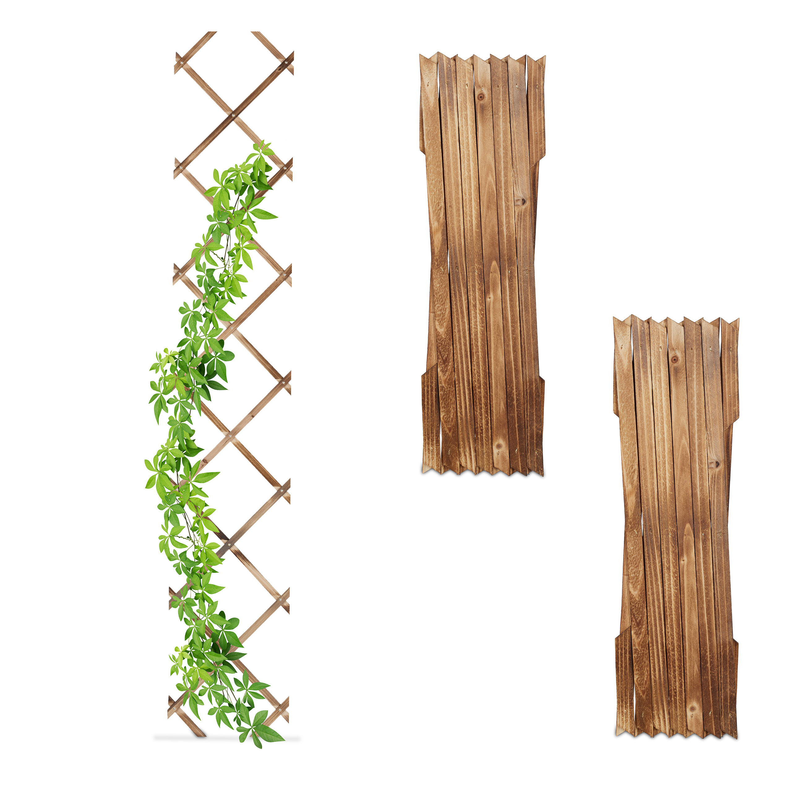 3 -patterned Trellis - (w)30 X (h)180 Cm