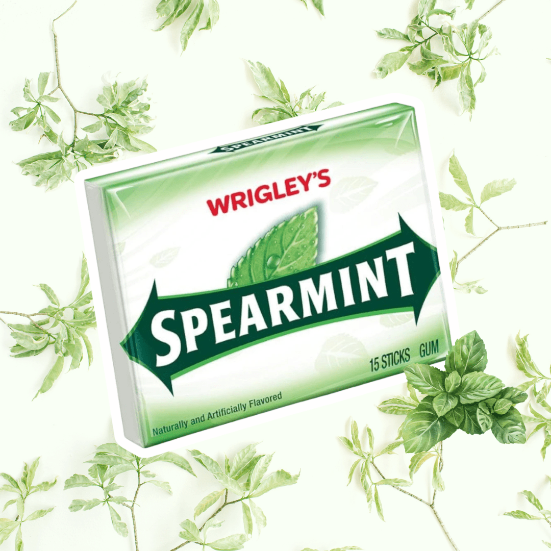 Image of 1x Wrigley's Spearmint Chewing Gum – 15 Sticks – 1 Pack