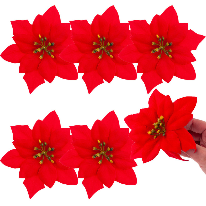 Image of Bethlehem Star Christmas Flowers Large Flowers Poinsettia 6pcs/bundle