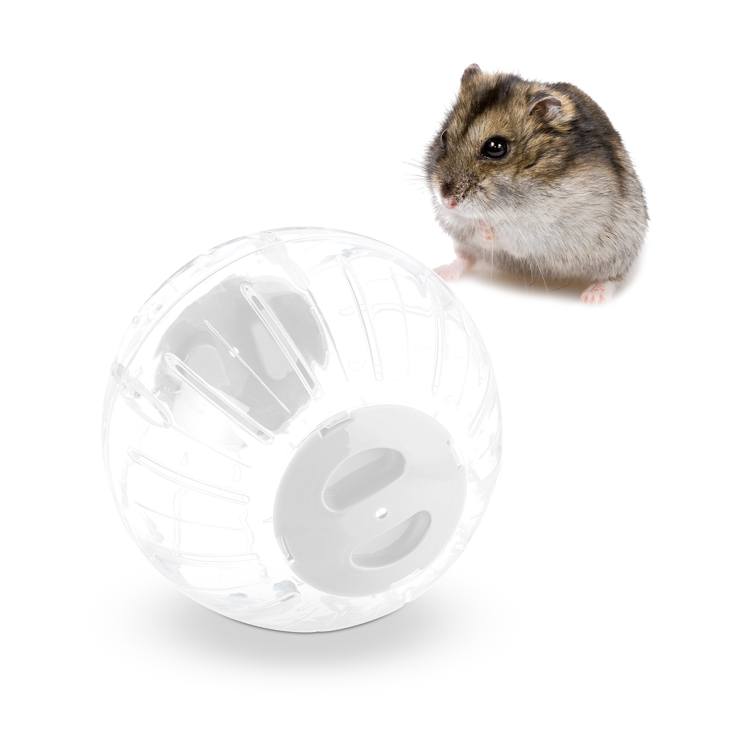 Hamster Ball In Transparent/white - Ø Cm