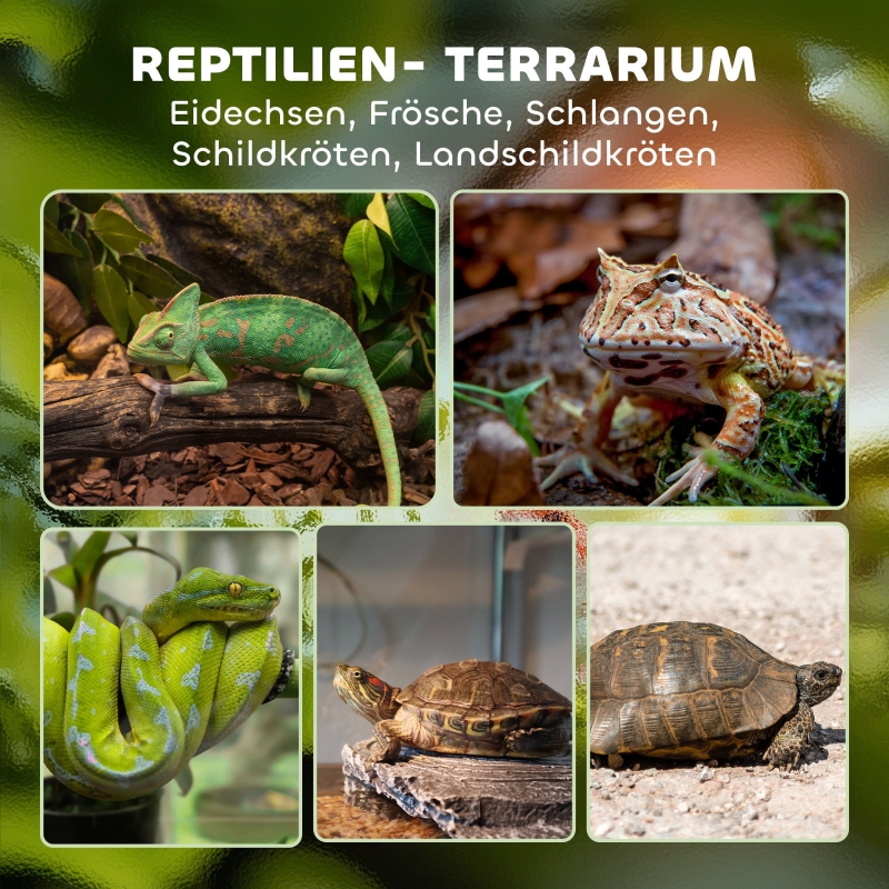 Terrario in Vetro PawHut per Rettili, Base Rialzata e Impermeabile, Serratura a Manopola