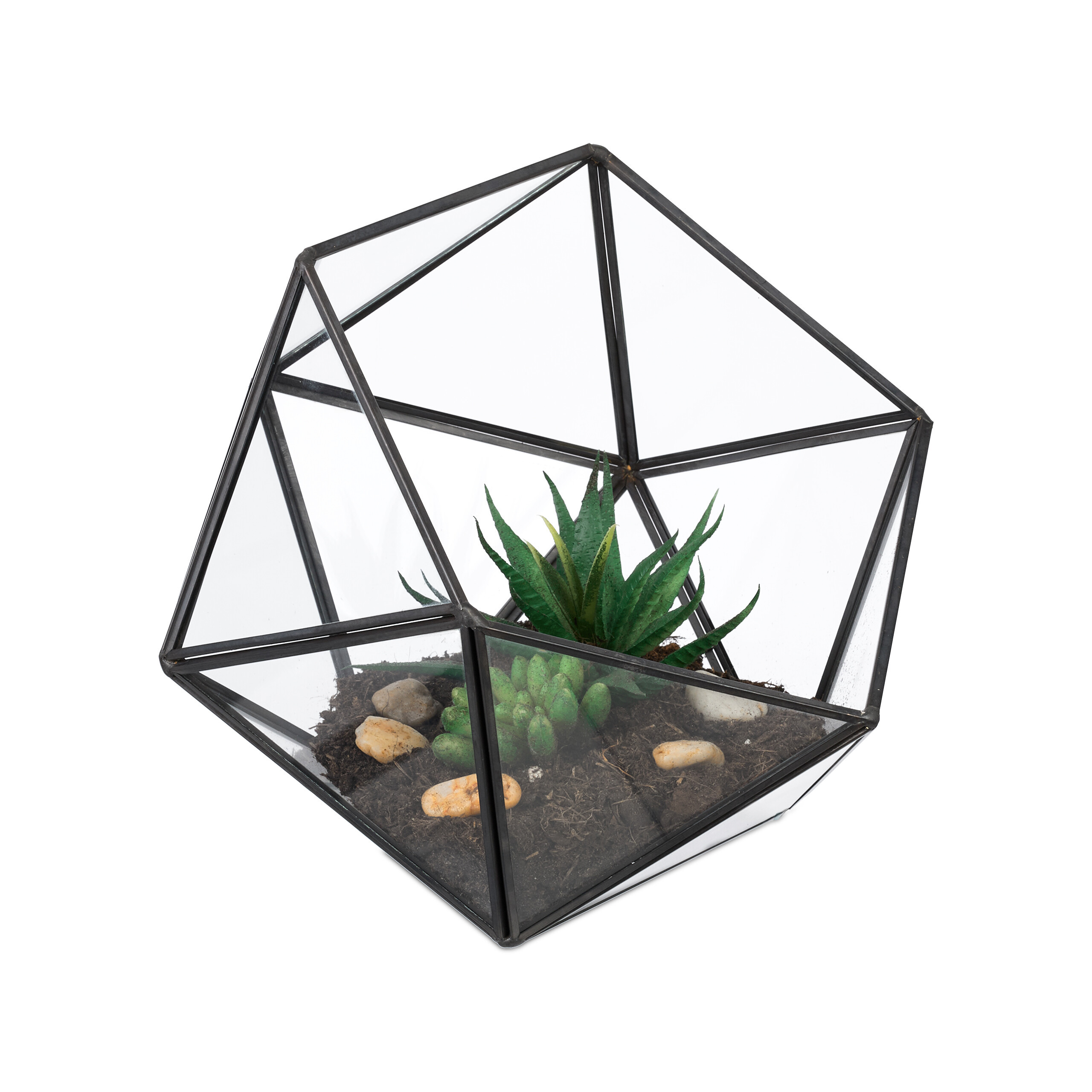 Geometric Plant Terrarium In Black - (w)17 X (h)16 X (d)20 Cm