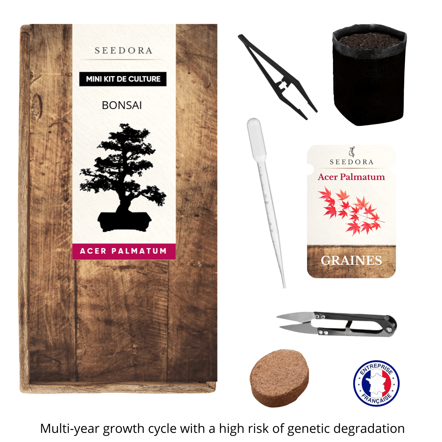 TEMU Mini Kit Bonsaï Érable du Japon (Acer Palmatum) — Kit Complet de |