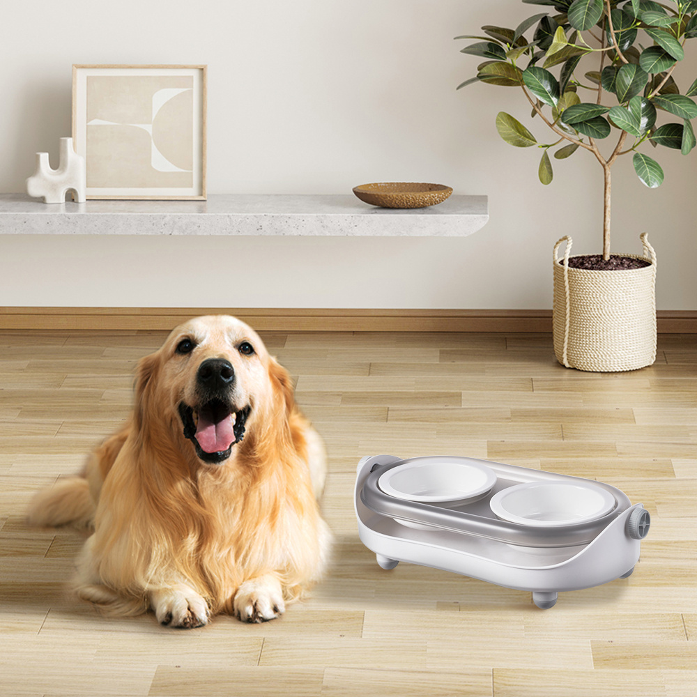 Elevated Pet Feeding Set 41x16x11cm with Raised Edge Non-Slip Cat and Dog Bowls, Spill-Proof Design Catches Food and Water Mess, Tidy Feeding Solution for Home Use