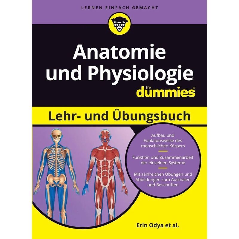 Anatomy And Physiology Textbook And Workbook For Dummies - Paperback - Erin Odya (et Al.) - For Dummies - 608 Pages - German - 2023 - Wiley Vch Gmbh - Ean 9783527721313