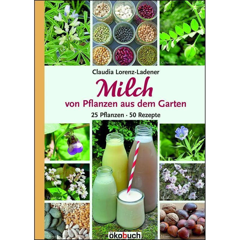 Image of Milk From Plants From The Garden - Book - 25 Plants 50 Recipes - Claudia Lorenz Ladener - 128 Pages - German - 2022 - Ökobuch Verlag Gmbh - Ean 9783947021260
